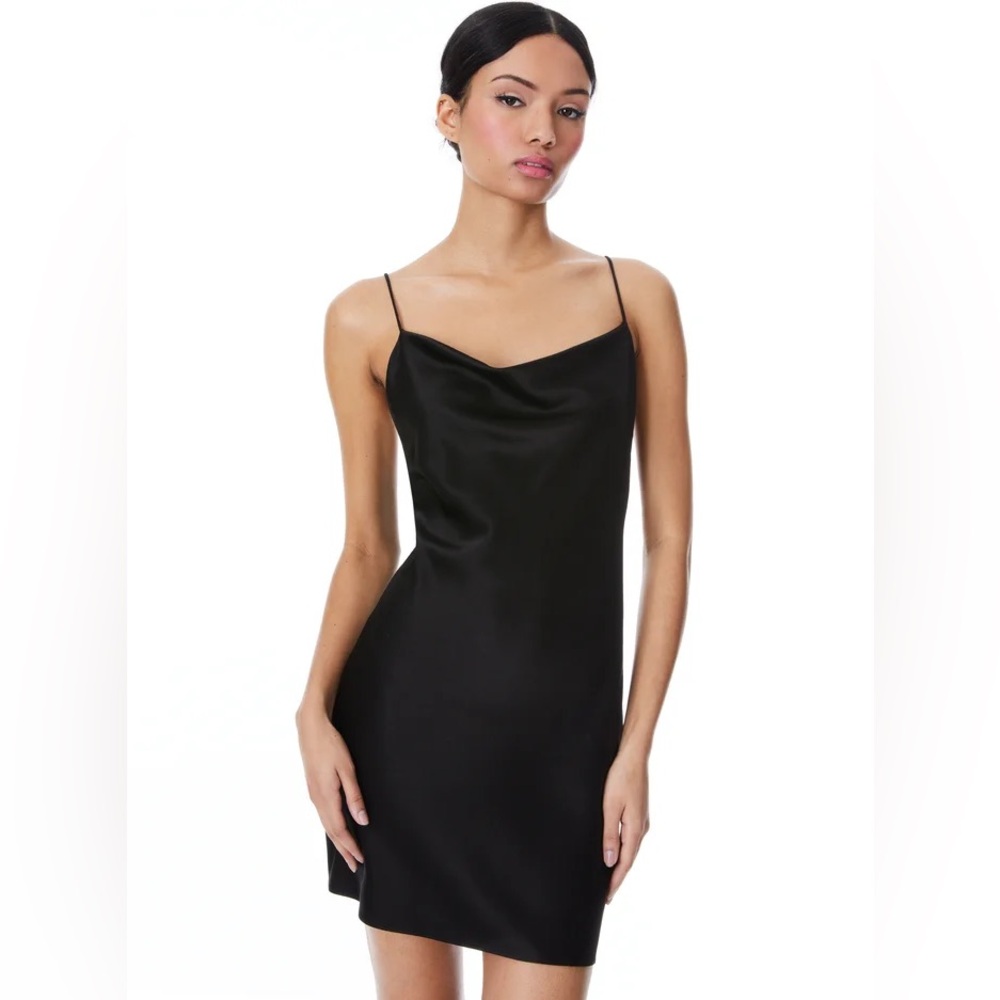 Alice + Olivia Black Harmony Mini Slip Dress (Size 0 can fit size 2)